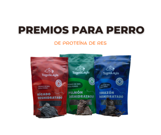 Los 10 mejores premios para perro: