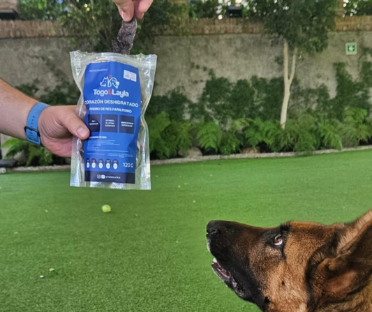 ¿Qué se le puede dar a un perro de premio?