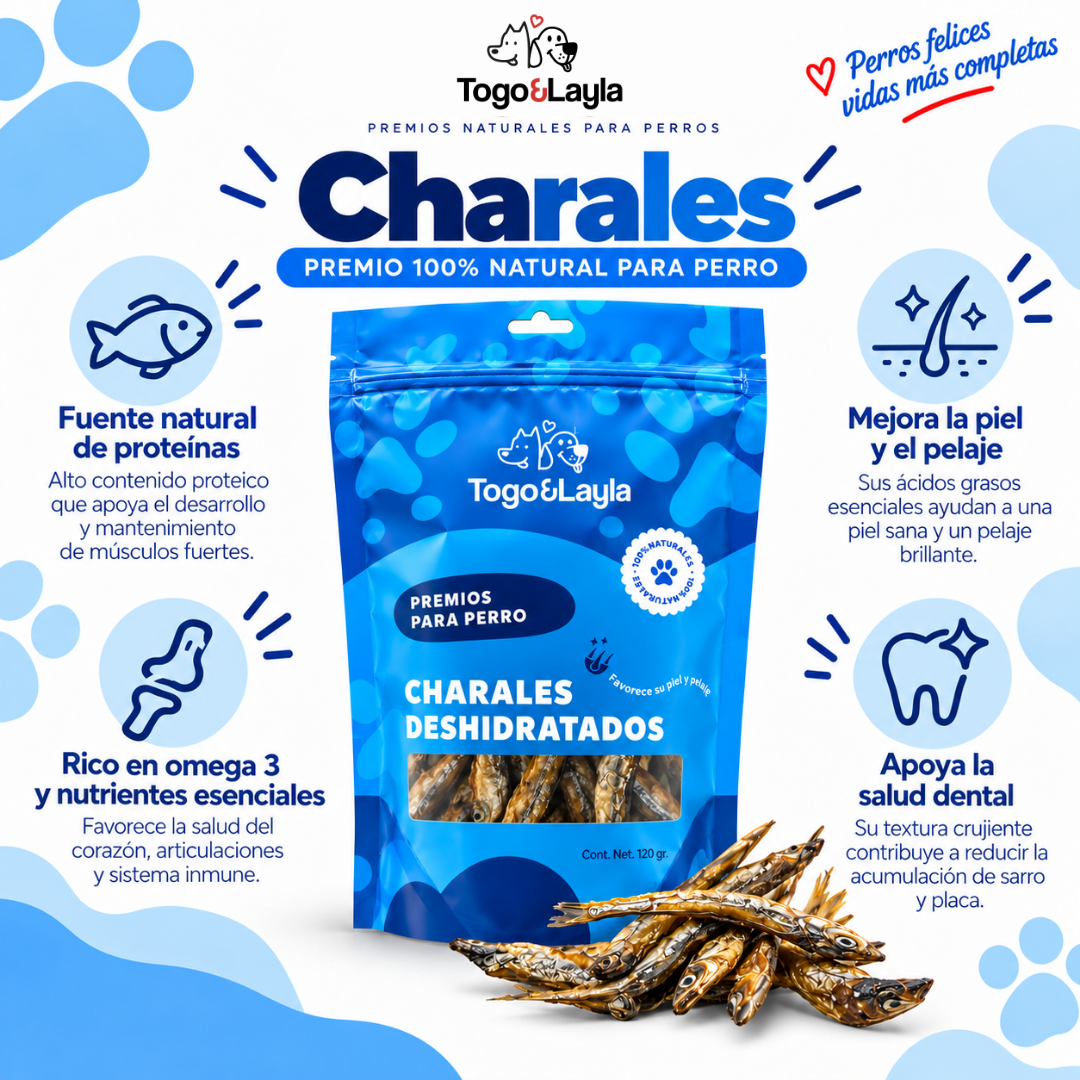Paquete Enzo de Charales, Pata de Pollo y Tráquea Chips para Perros